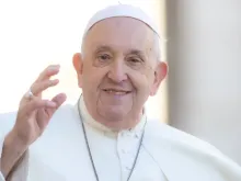 Papa Francisco cumprimenta na audiência geral de 8 de novembro.