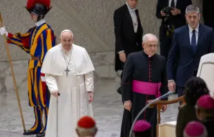 Papa Francisco chega à Audiência Geral neste dia 7 de fevereiro.