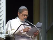 O papa no Ângelus de hoje (14)