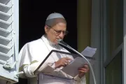 O papa no Ângelus de hoje (14)