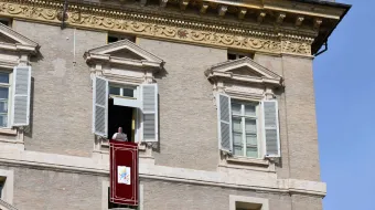 O papa no Ângelus de hoje (14)