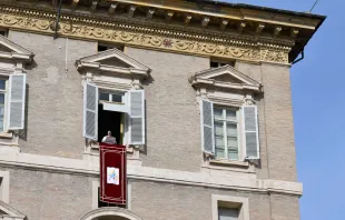 O papa no Ângelus de hoje (14)