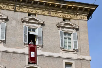 O papa no ângelus de hoje (14)