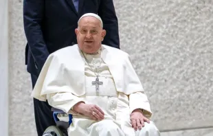 Papa Francisco na audiência geral de 12 de fevereiro