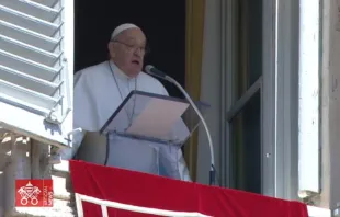 Papa Francisco rezando o Regina Caeli no Vaticano hoje (7), Domingo da Divina Misericórdia.