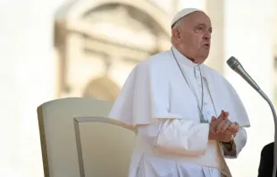 Papa Francisco na Audiência Geral de 26 de junho.