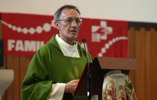 O bispo eleito de Portalegre-Castelo Branco, Pedro Fernandes