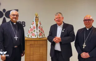 O arcebispo de Goiânia (GO), dom João Justino de Medeiros Silva, primeiro vice-presidente da CNBB; o arcebispo de Porto Alegre (RS), dom Jaime Cardeal Spengler, presidente da CNBB; e o bispo-auxiliar de Brasília, dom Ricardo Hoepers, secretário-geral da CNBB.