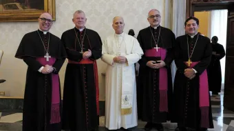 Presidência da CNBB em encontro com o papa Leão XIV