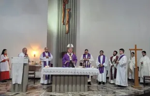 Dom Leomar Brustolin na missa de apresentação apresentação canônica da reitoria