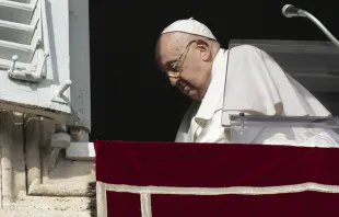 Papa Francisco na janela do Palácio Apostólico, no Vaticano, durante a oração do Ângelus de hoje (14).