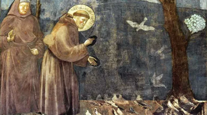 São Francisco e os animais