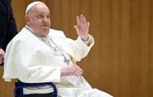 Papa Francisco na audiência geral de 12 de fevereiro