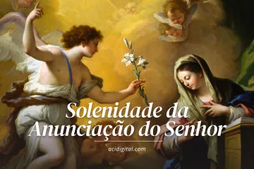 Solenidade da Assunção de Nossa Senhora