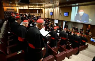 Os cardeais se reúnem em Congregações Gerais após a morte do papa.