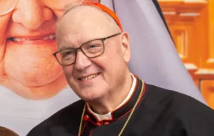 Arcebispo de Nova York, cardeal Timothy Dolan.