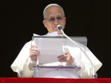 Papa Leão XIV no Ângelus dominical de hoje (25)