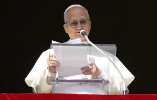 Papa Leão XIV no Ângelus dominical de hoje (25)