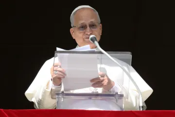 Papa Leão XIV no Ângelus dominical de hoje (25)