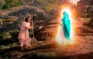 Guadalupe, Mãe da Humanidade