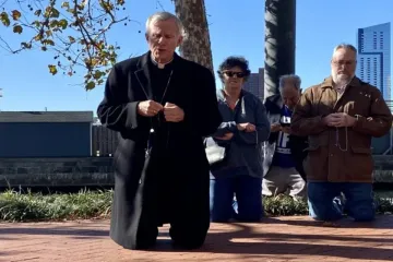 Joseph Strickland reza rosário