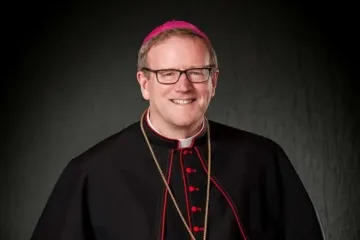 O arcebispo de Winona-Rochester, EUA, Robert Barron