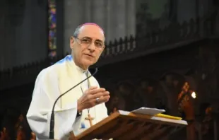 O prefeito do Dicastério para a Doutrina da Fé, o cardeal Victor Manuel Fernández.