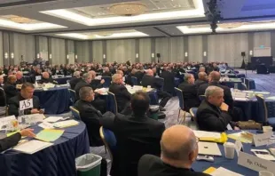 A Conferência dos Bispos Católicos dos EUA em reunião plenária de outono em 14 de novembro de 2023, em Baltimore, nos EUA.
