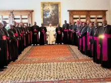 Membros da Conferência Episcopal Nacional de Camarões com o papa Francisco no Vaticano.