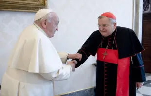 O papa Francisco com o cardeal Raymond Burke em audiência hoje (29) no Vaticano.