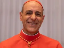 O prefeito do Dicastério para a Doutrina da Fé, o cardeal Victor Manuel Fernández.
