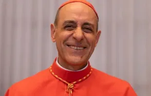 O prefeito do Dicastério para a Doutrina da Fé, o cardeal Victor Manuel Fernández.