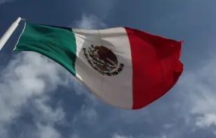 Bandeira do México. Imagem ilustrativa.