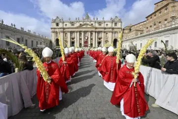Procissão do Domingo de Ramos no Vaticano