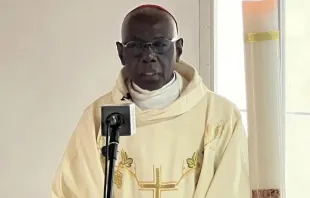 Cardeal Robert Sarah fala a membros da Conferência Episcopal Nacional dos Camarões (NECC, na sigla em inglês) em 9 de abril de 2024.