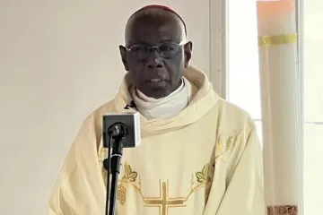 Cardeal Robert Sarah fala a membros da Conferência Episcopal Nacional dos Camarões