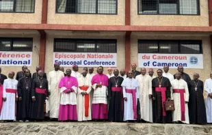 Cardeal Sarah com membros da Conferência Episcopal Nacional dos Camarões (NECC, na sigla em inglês)