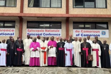 Cardeal Sarah com membros da Conferência Episcopal Nacional dos Camarões