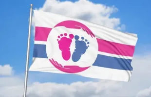 Bandeira Internacional Pró-Vida.