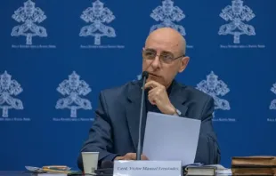 O prefeito do dicastério para a Doutrina da Fé, o cardeal Victor Manuel Fernández.