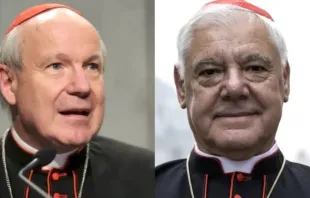O cardeal Christoph Schönborn e o cardeal Gerhard Ludwig Müller.