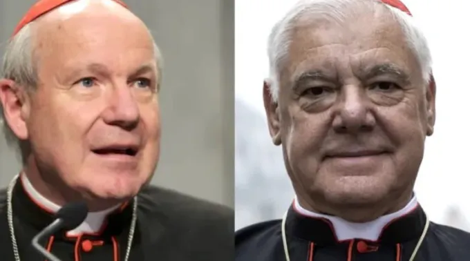 Cardeais Christoph Schönborn e  Gerhard Ludwig Müller. ?? 