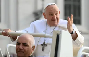 Papa Francisco no papamóvel durante audiência geral.