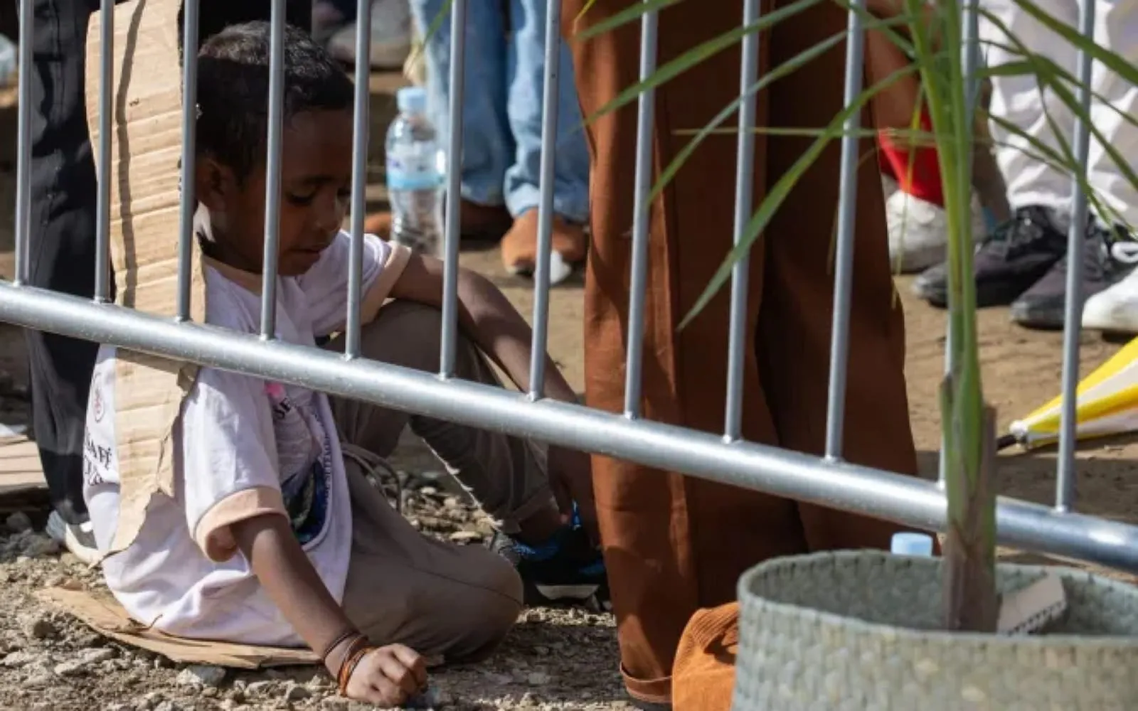 O nascimento de um bebê é uma centelha que revela o amor eterno de Deus,  diz o papa, image size:1600x1000