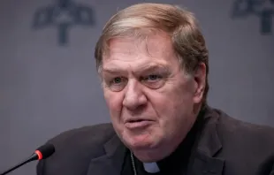 Cardeal Joseph William Tobin fala hoje (11) à imprensa, no Vaticano.