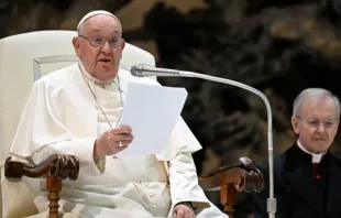 Papa Francisco em audiência geral hoje (8) no Vaticano.
