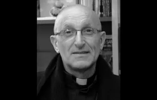 O bispo de Fréjus-Toulon, França, dom Dominique Rey.