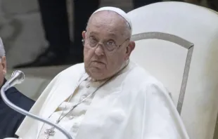 Papa Francisco em audiência geral na Aula Paulo VI, no Vaticano.