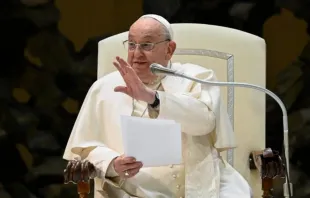 Papa Francisco em audiência geral. Imagem referencial.