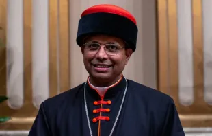 Dom George Jacob Koovakad, da Igreja Siro-Malabar, oficial da Secretaria de Estado da Santa Sé e agente de viagens pessoal do papa Francisco, foi criado cardeal pelo papa em consistório na basílica de São Pedro, no Vaticano, em 7 de dezembro do ano passado.